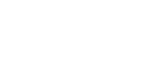 Argon White Logo